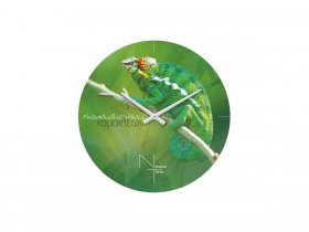 Часы настенные Nicole Time NT503 в Краснообске - krasnoobsk.mebel-nsk.ru | фото